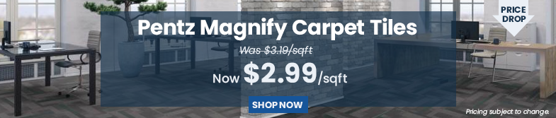 Price Drop - Pentz Magnify Carpet Tiles. Was $3.19 per square feet Now $2.99 per square feet. Shop Now. Pricing subject to change.