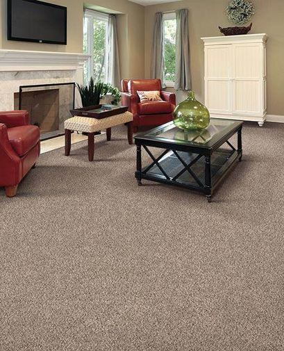Best Eco-Friendly Carpet for Pets - Air.o Gentle Breeze Carpet with Pad