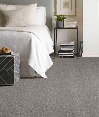 Best Stylish Carpet for Pets - Shaw Charmed Hues Waterproof Carpet