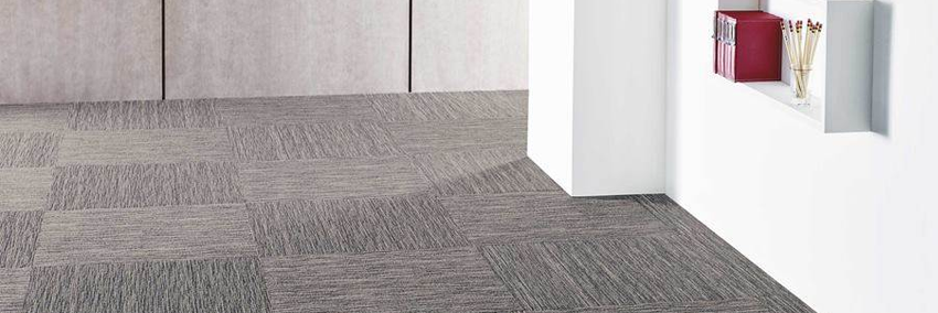 Shaw Intellect Carpet Tiles 