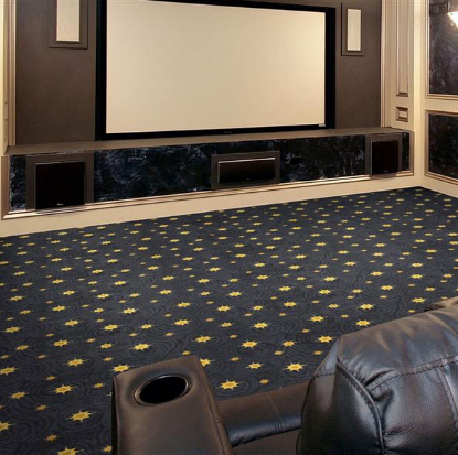Best Home Theater Area Rugs 