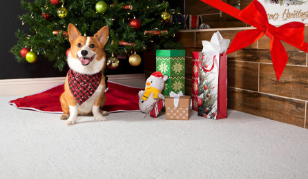2022 Holiday Gift Guide: 10+ Best Home Flooring Ideas