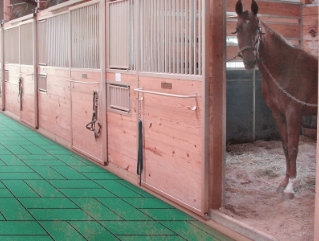Kennel and Horse Stable Flooring