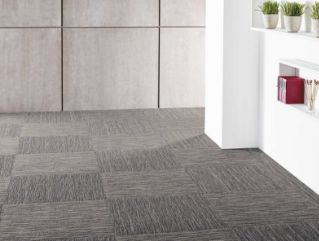 Shaw Intellect Carpet Tile
