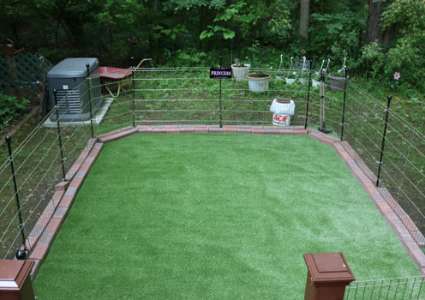 Dog Kennel Flooring Pet, What Is The Best Flooring For Dog Kennels