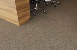 Pentz Oasis Carpet Tiles