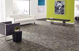 Shaw Esthetic Carpet Tile