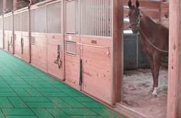 1&quot; Horse Stall Tiles