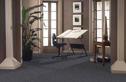 Shaw Sound Advice Carpet Tile