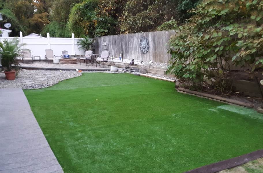Bow Wow Pet Turf Rolls - view 9