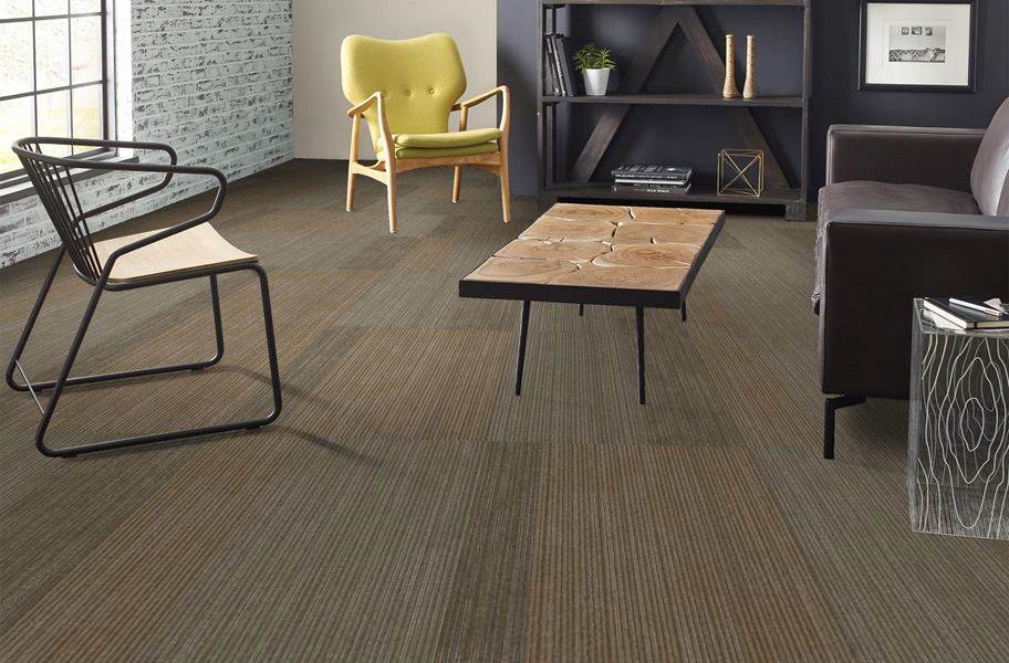 Shaw Disclose Carpet Tile - Front Page