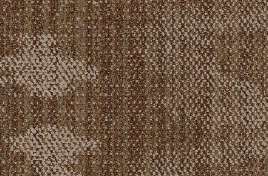 EF Contract Seep Carpet Planks - Sepia - view 16
