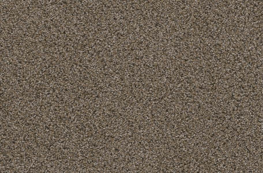 Walk in the Park Carpet Tile with Pad - Copper Mine