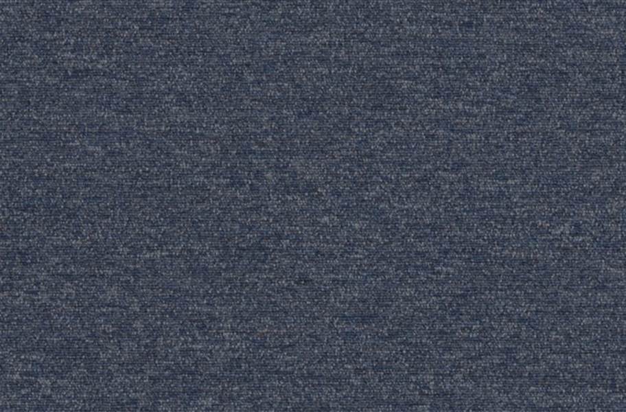 Shaw Profusion 20 Carpet - Multitude
