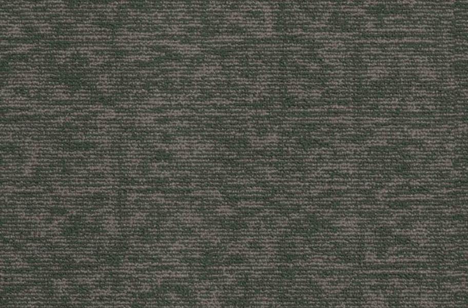 Shaw Elemental Carpet - Primitive