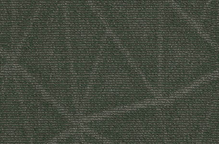 Shaw Refine Carpet - Primitive
