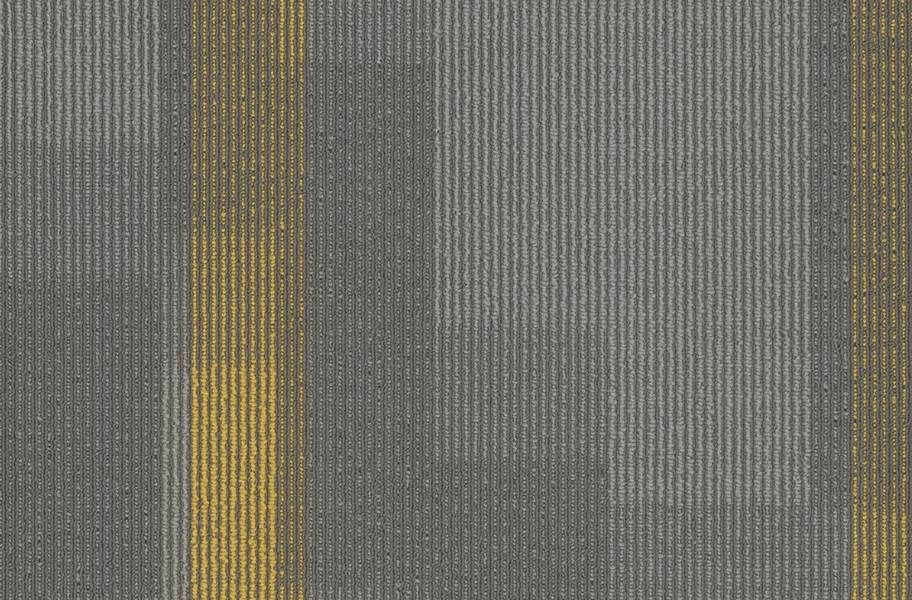 Pentz Amplify Carpet Tiles - Medallion