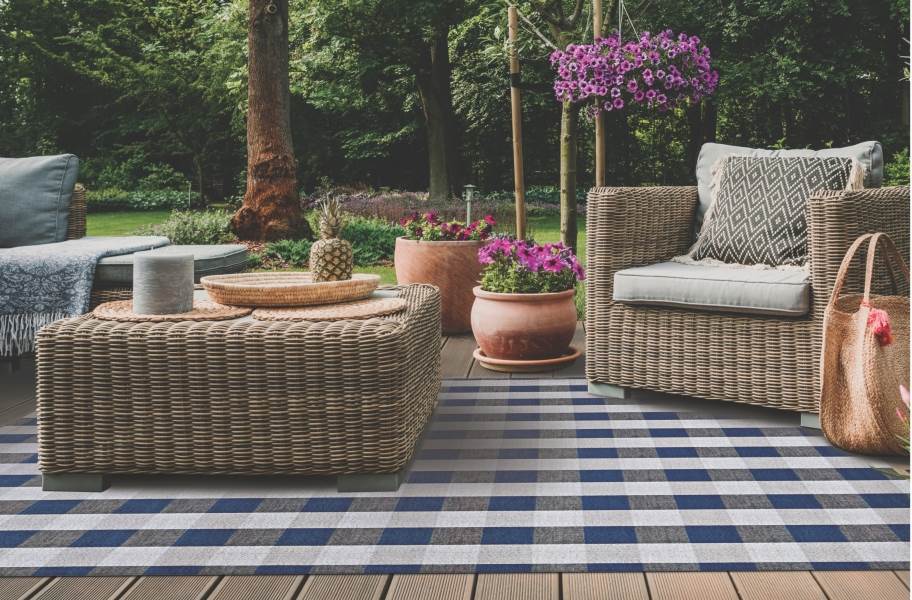 Gingham Indoor Outdoor Area Rug - Blue and White