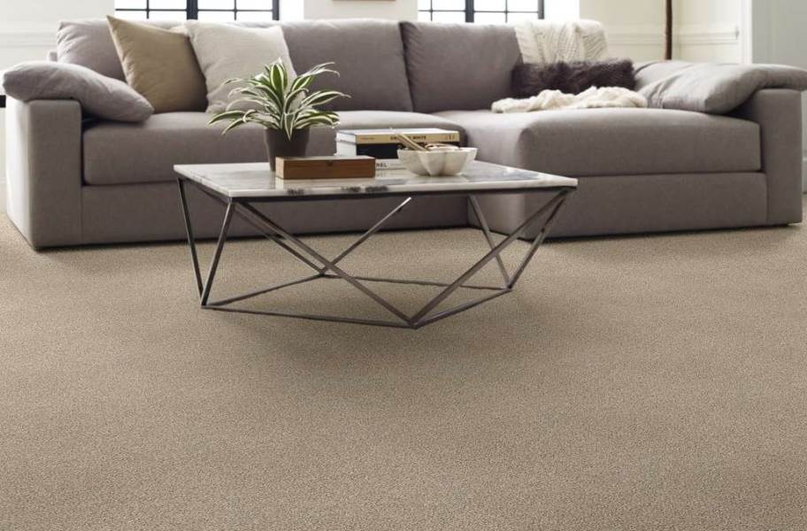 Shaw Charmed Hues Waterproof Carpet - Biscotti - view 7
