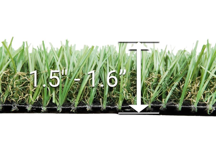 Budget Short Turf Rolls - Fescue/Spring Pile Height - view 4