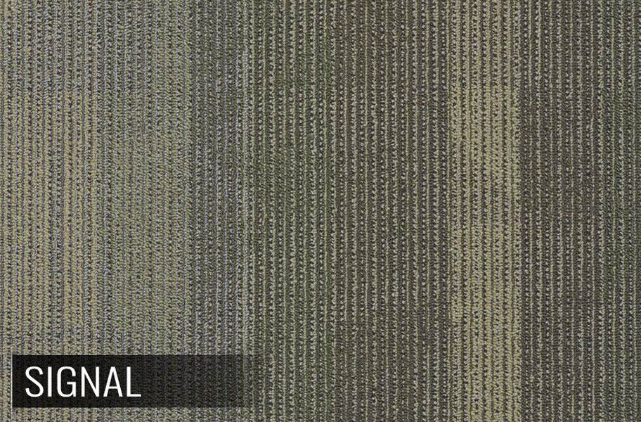 Shaw Feedback Carpet Tile - view 9