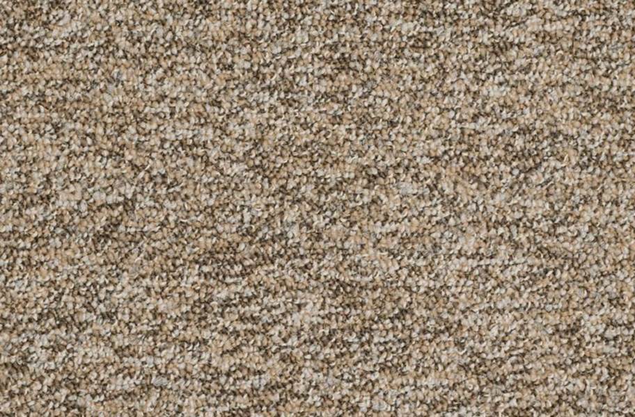 Shaw No Limits Carpet Tile - Boundaries