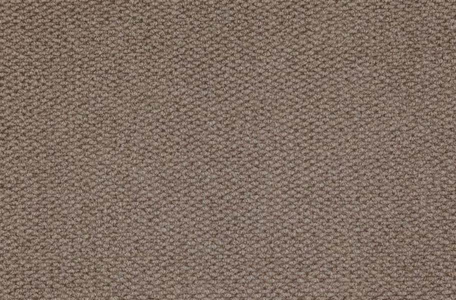 Premium Hobnail Carpet Tiles - Taupe