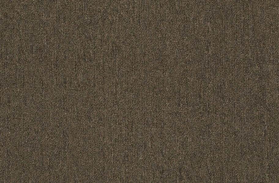Shaw Neyland III Carpet - Urban Legend