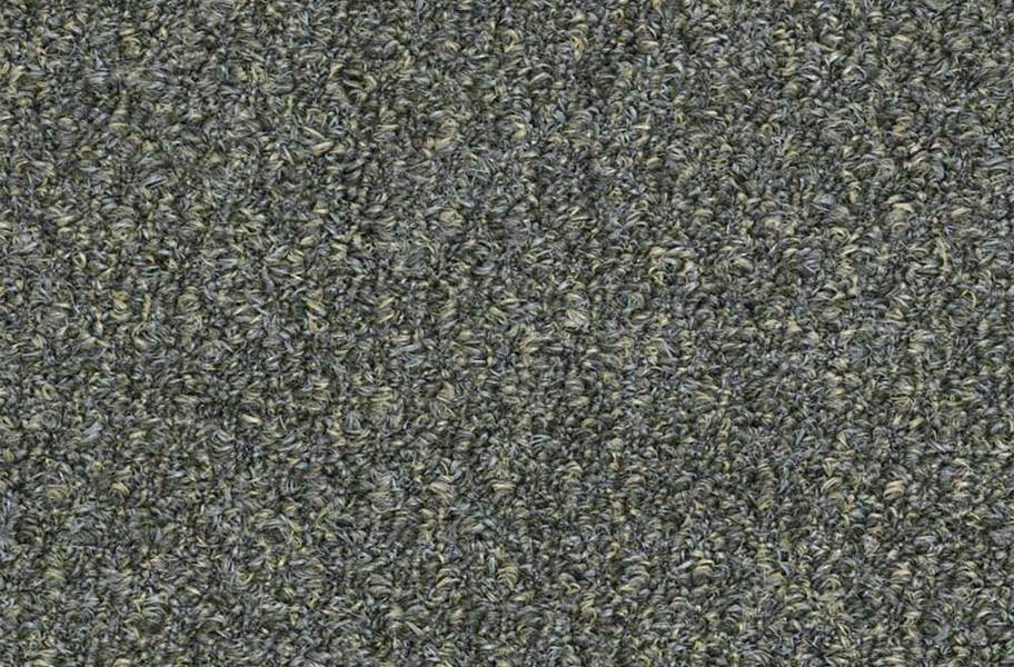 Shaw Gardenscape Outdoor Carpet - Granite Dust