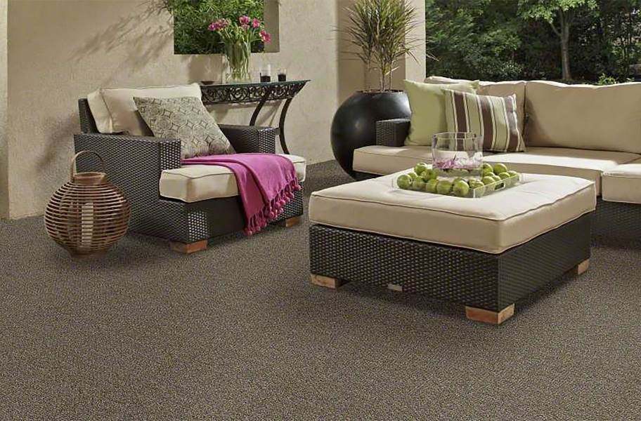 Shaw Natural Path Outdoor Carpet - Mineralite - view 5