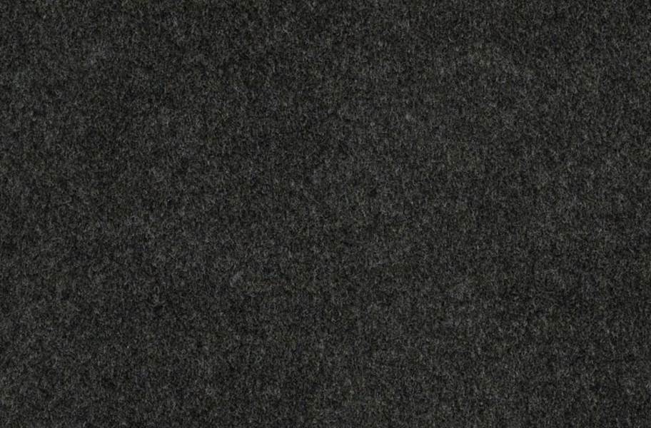 Shaw Softscape I Outdoor Carpet - Anvil