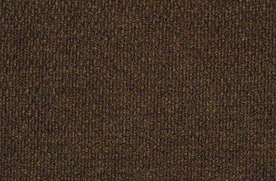 Shaw Commons II Outdoor Carpet - Cinnabark