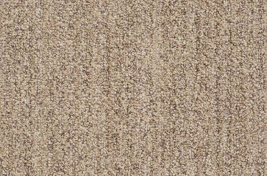 Shaw Have Fun Waterproof Carpet - Taupe - view 1