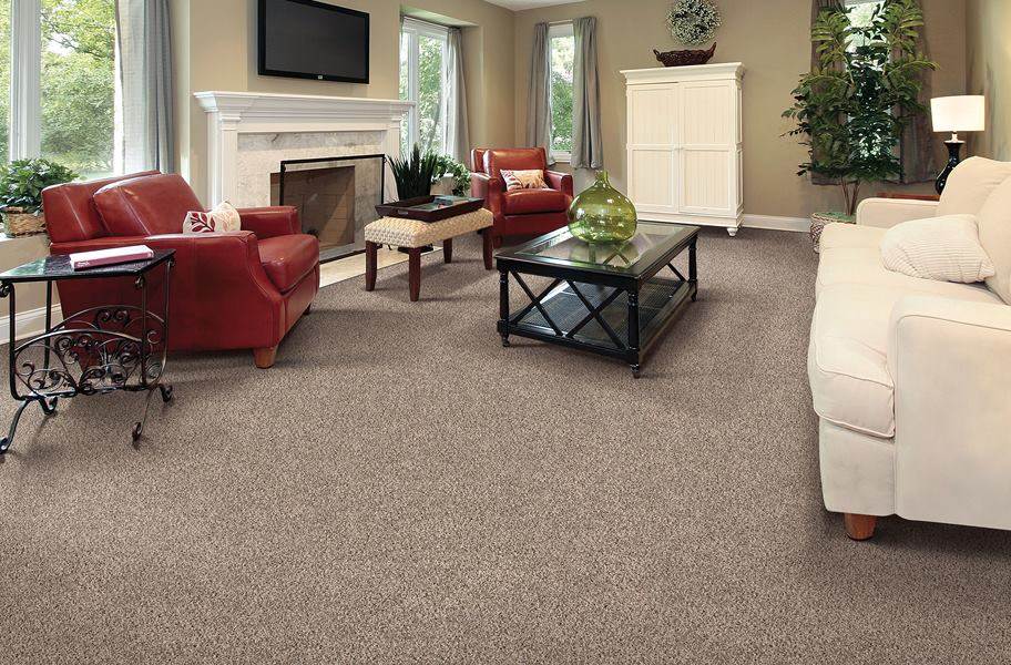 Air.o Gentle Breeze Carpet with Pad - view 2