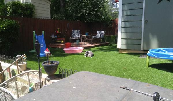 Customer review image of  in Back yard