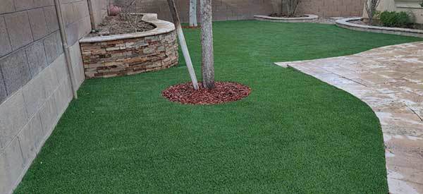 Customer review image of  in Yard