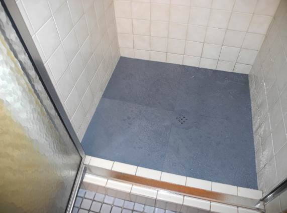 Customer review image of  in Shower