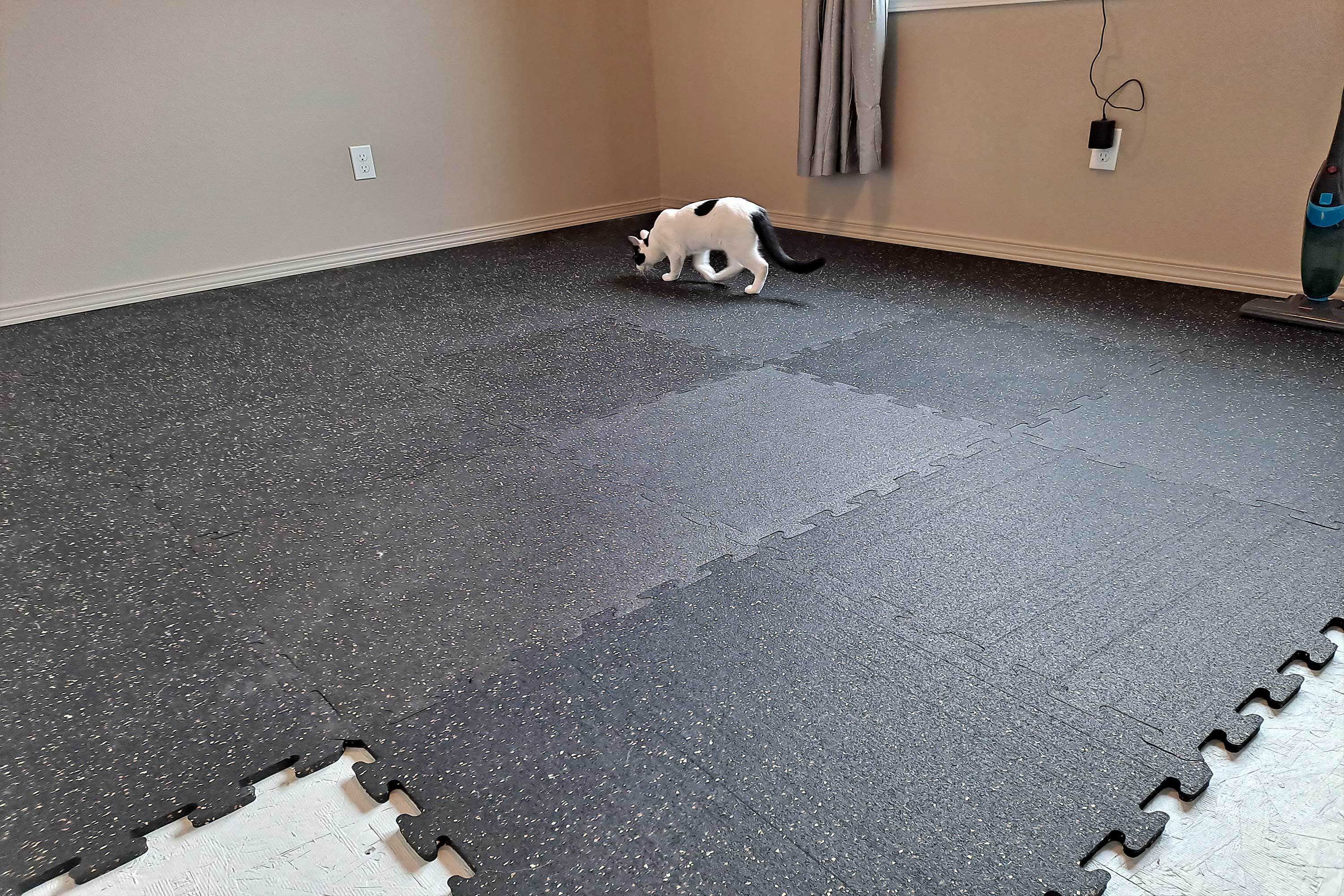 Customer review image of  in Cat Room (spare bedroom)